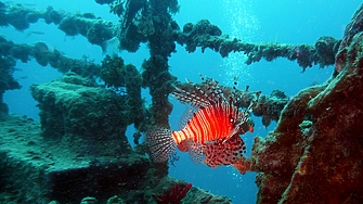 Превръщат бивш кораб на държавния елит в най-големия технологичен риф у нас