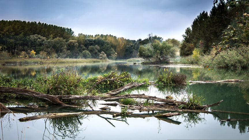 Река Дунав; ©Pixabay