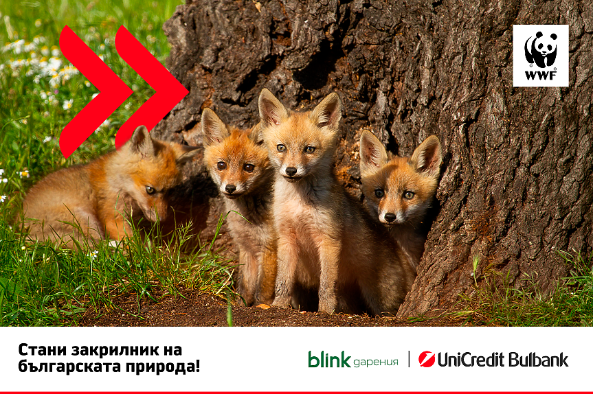 WWF България и УниКредит Булбанк с дарителска кампания за опазване на българската природа